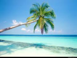 Paradise